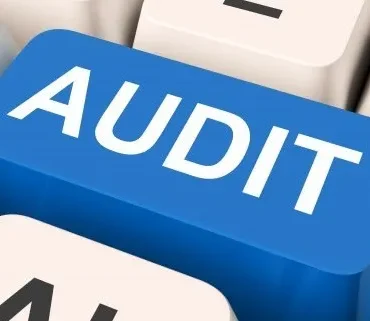 Review (CSRE 2400) & Audit Engagement Service