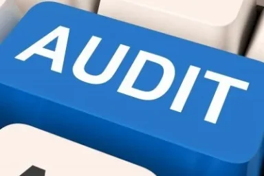 Review (CSRE 2400) & Audit Engagement Service