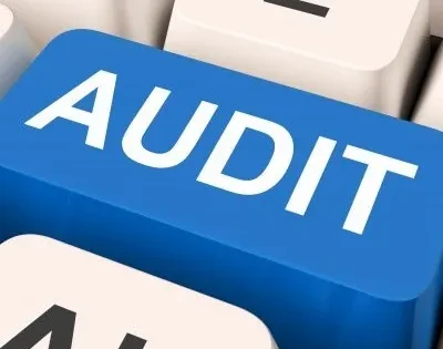 Review (CSRE 2400) & Audit Engagement Service